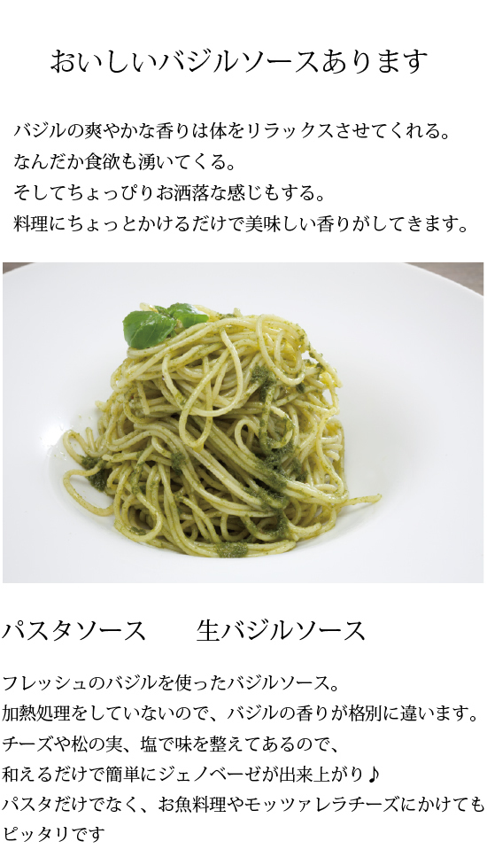 パスタ 生 バジル